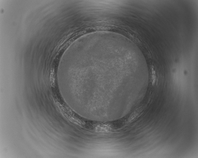 X0000051860599200507081824