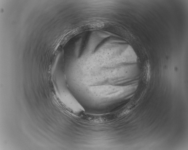 X0000051860600200507081824