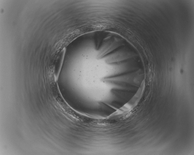 X0000051860601200507081824