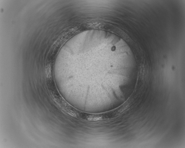 X0000051860602200507081824