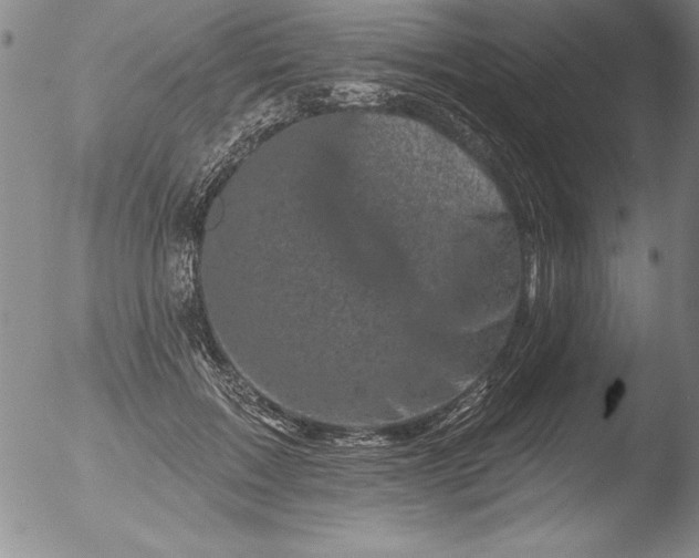 X0000051860603200507081824