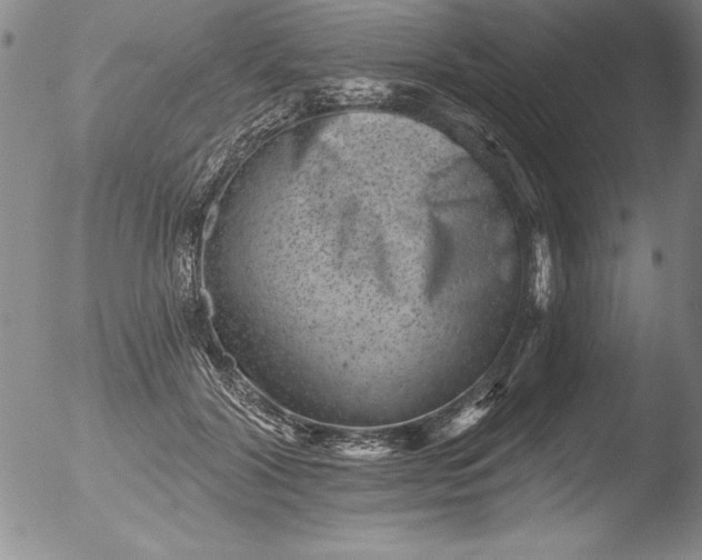 X0000051860604200507081824