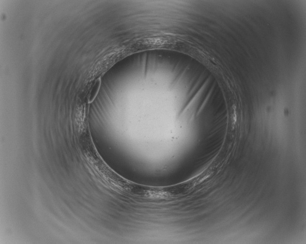 X0000051860605200507081824