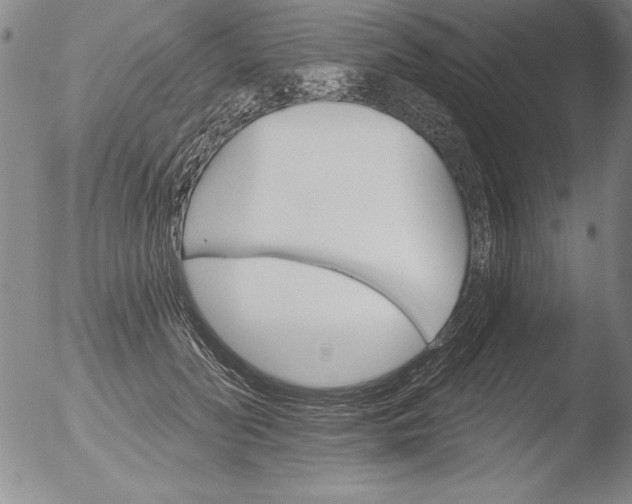 X0000051860606200507081824