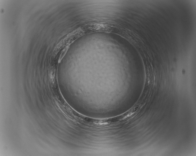 X0000051860607200507081824