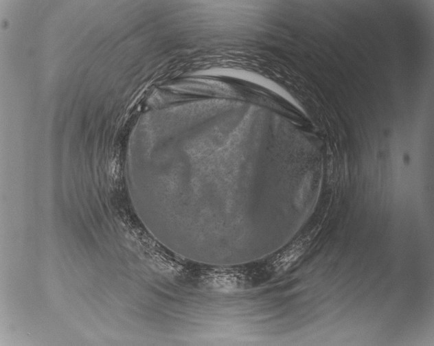 X0000051860608200507081824