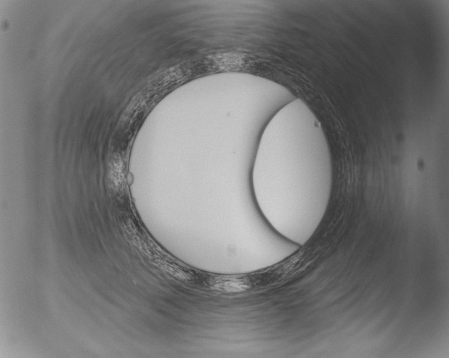 X0000051860610200507081824