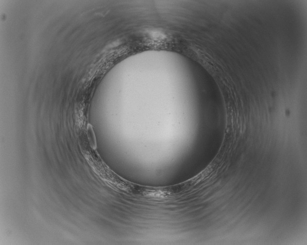 X0000051860611200507081824