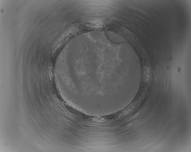 X0000051860612200507081824