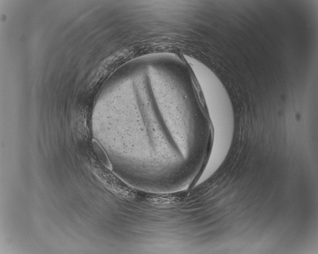 X0000051860615200507081824