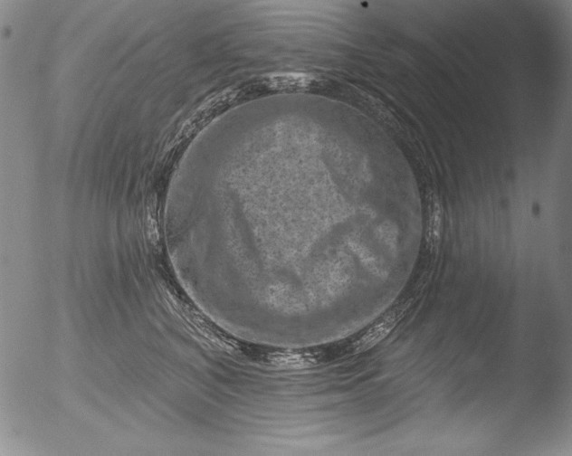 X0000051860616200507081824