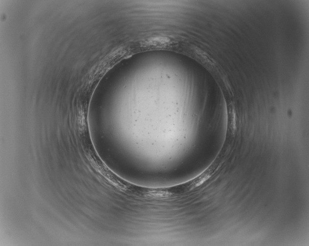 X0000051860617200507081824