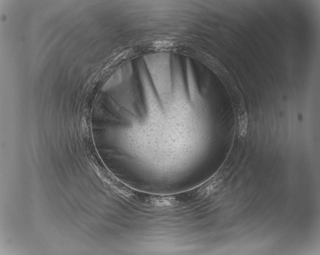 X0000051860618200507081824