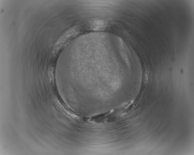 X0000051860620200507081824