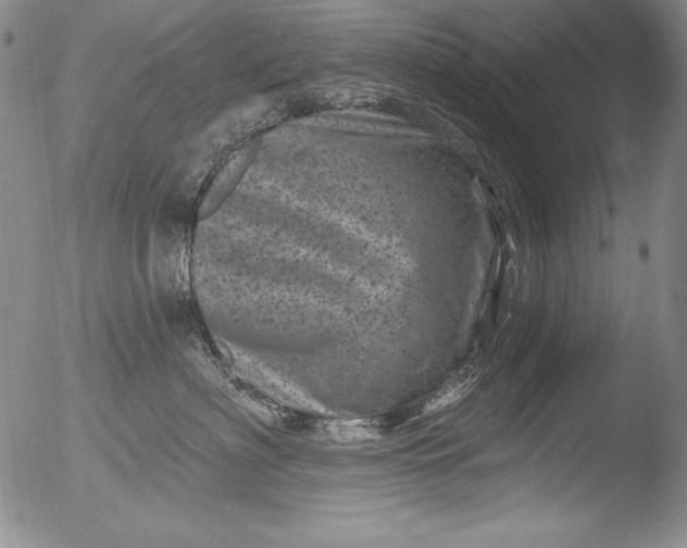 X0000051860622200507081824