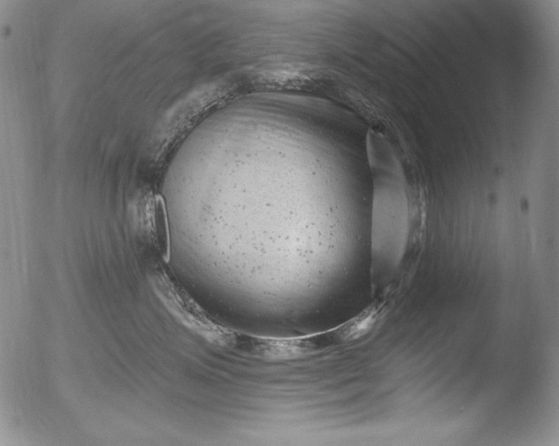 X0000051860623200507081824