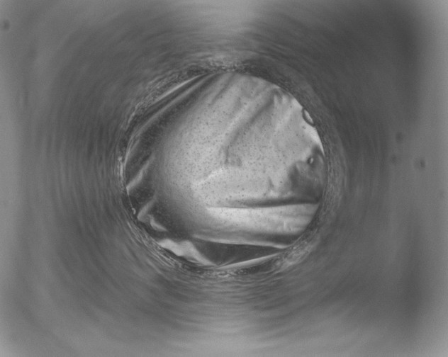 X0000051860624200507081824