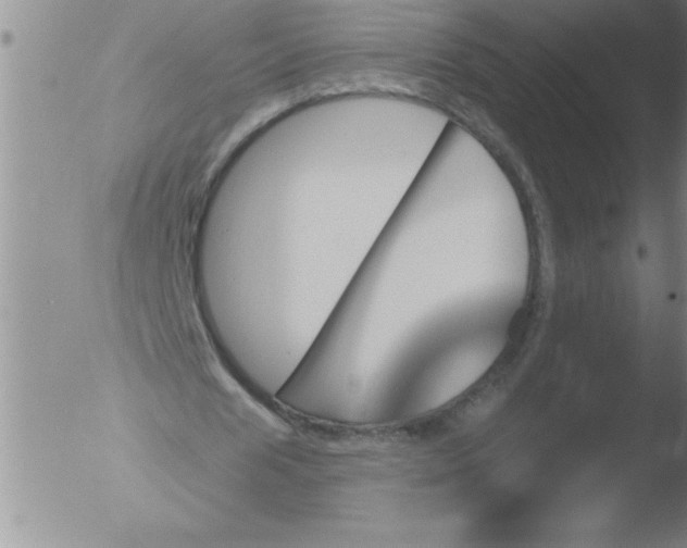 X0000051860625200507081823