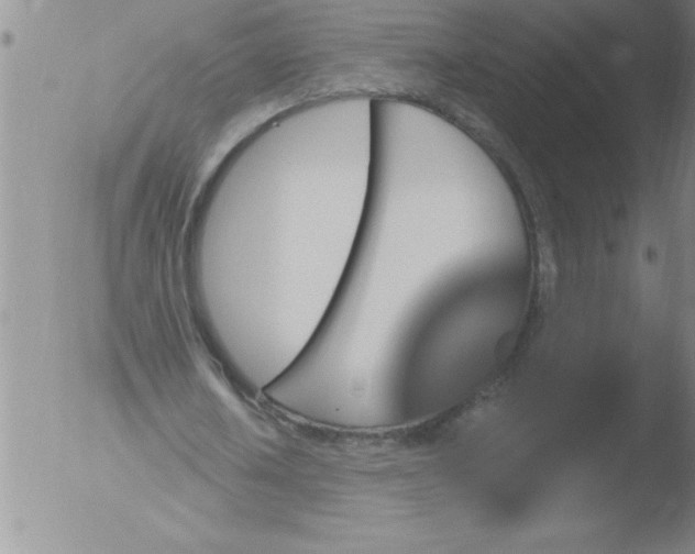 X0000051860626200507081823