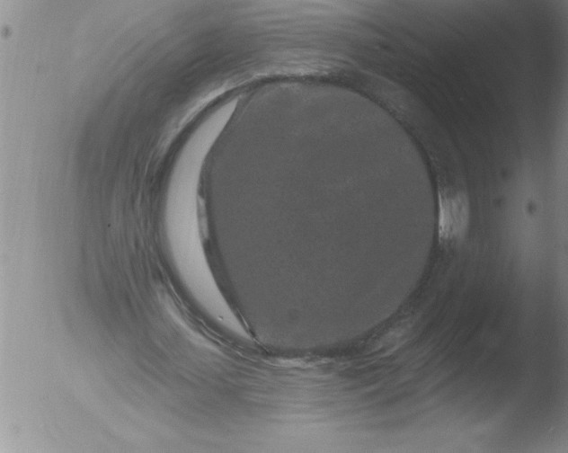 X0000051860627200507081823