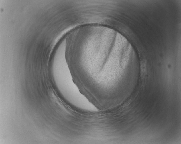 X0000051860628200507081823