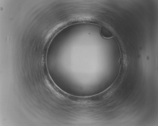 X0000051860629200507081823