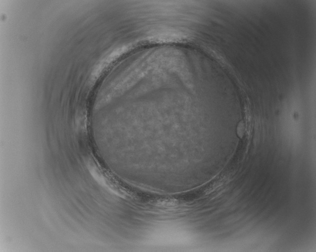 X0000051860631200507081823