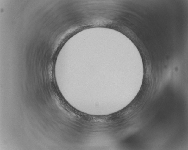 X0000051860632200507081823