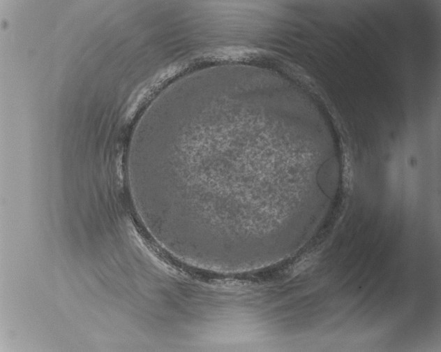 X0000051860633200507081823