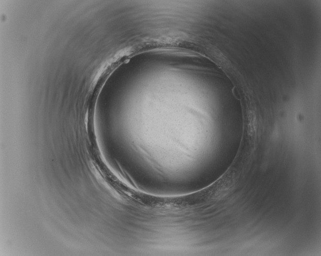 X0000051860634200507081823