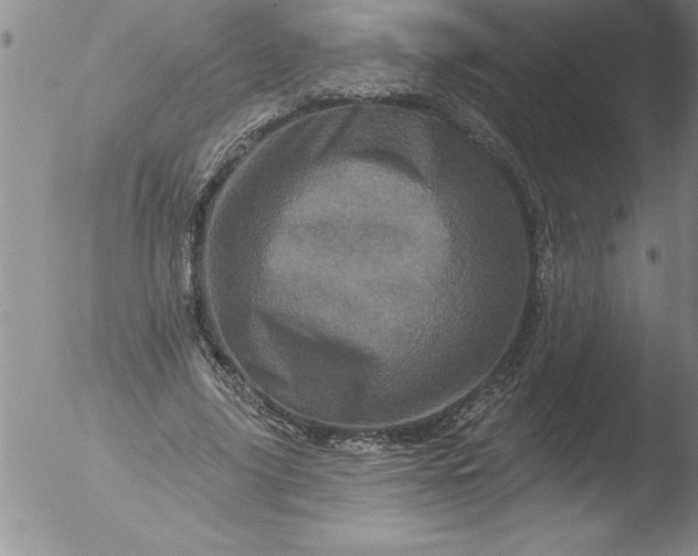 X0000051860635200507081823