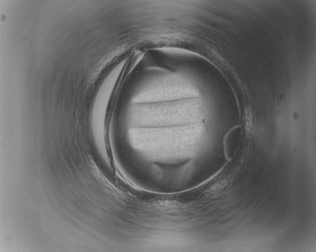 X0000051860637200507081823