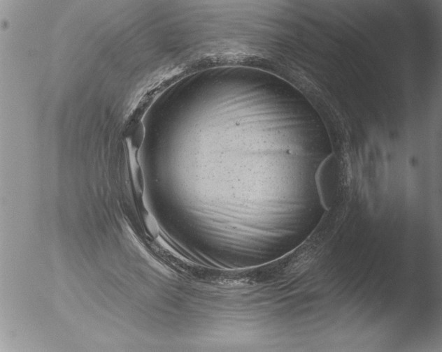 X0000051860638200507081823