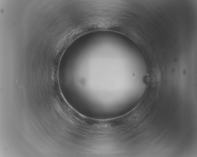 X0000051860639200507081823