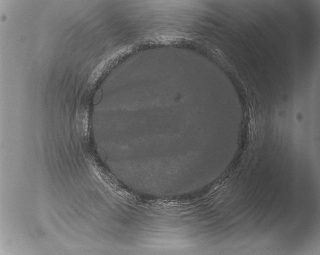 X0000051860640200507081823