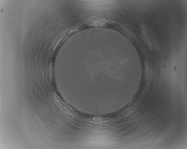 X0000051860641200507081823