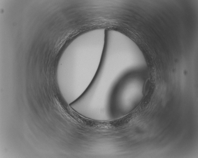 X0000051860642200507081823