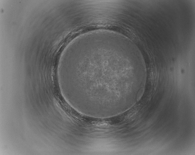 X0000051860643200507081823