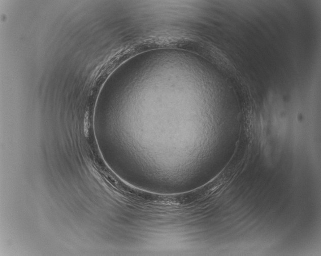 X0000051860644200507081823