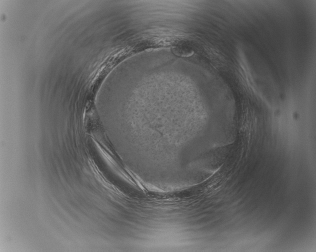 X0000051860646200507081824