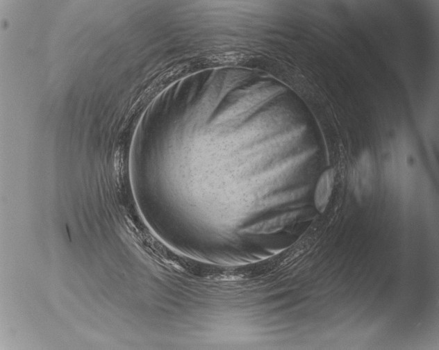 X0000051860647200507081824