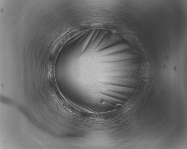 X0000051860648200507081824