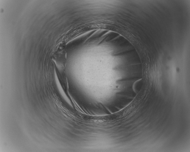 X0000051860649200507081824