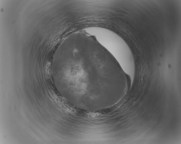 X0000051860650200507081824