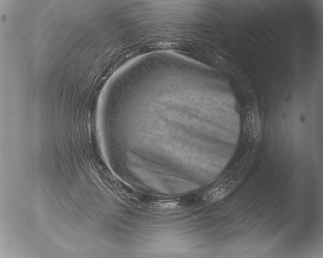 X0000051860651200507081824