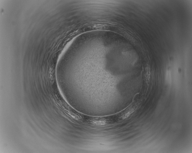 X0000051860653200507081824