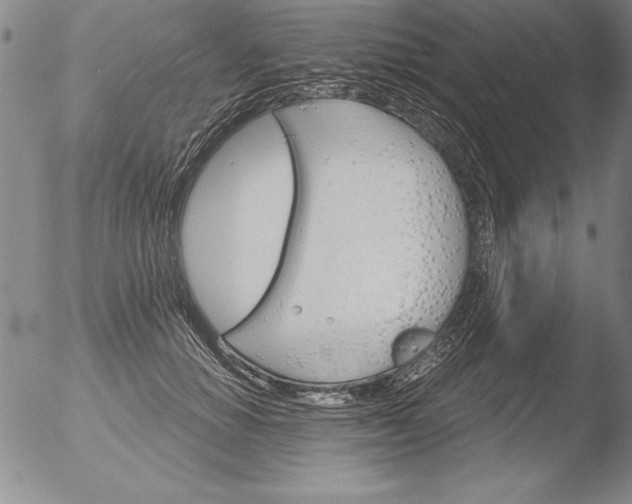 X0000051860654200507081824