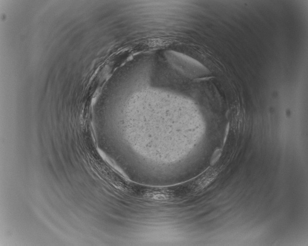 X0000051860655200507081824