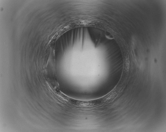 X0000051860657200507081824