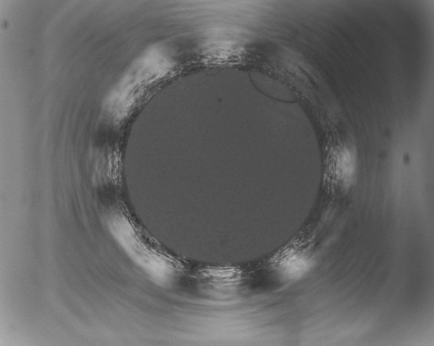 X0000051860659200507081824